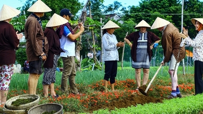 លើកតម្កើងរូបភាព ម៉ាកសញ្ញា និងចំណុចខ្លាំងសក្តានុពលនៃទេសចរណ៍ជនបទវៀតណាមទៅកាន់មិត្តអន្តរជាតិ។