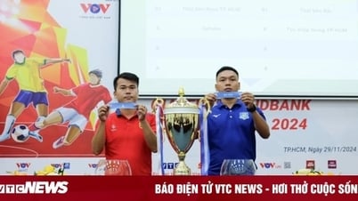 8 đội tham dự giải Futsal HDBank Cúp Quốc gia 2024