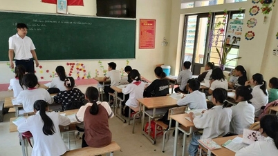استأنفت العديد من المدارس في لاو كاي التدريس