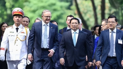 Lễ đón chính thức Thủ tướng Australia Anthony Albanese tại Phủ Chủ tịch