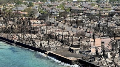 Số người chết vì cháy rừng ở Hawaii giảm xuống còn 97