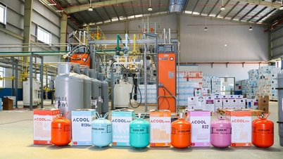 Stop licensing the export and import of HFC substances