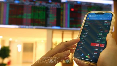 Transparency in securities offering