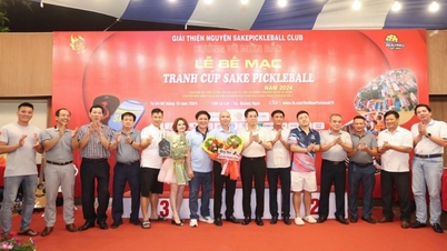 Sypik Triton Pro pickleball racket auctioned for 200 million VND