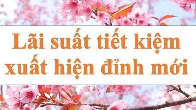 Lãi suất ngân hàng hôm nay 13.9: Xuất hiện đỉnh mới