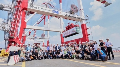 Cảng Quốc tế Long An sẵn sàng khai thác container đi quốc tế