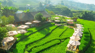 Du khách ngồi giữa ruộng bậc thang Sa Pa, nhâm nhi cà phê, ngắm mây bồng bềnh