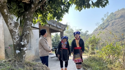 Spreading typical examples in ethnic minority areas