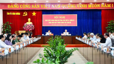 Đồng chí Nguyễn Lộc Hà được bầu giữ chức vụ Phó Bí thư Tỉnh ủy Bình Dương