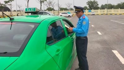 Quang Nam counts each vehicle to prevent loss of tax revenue from transportation business