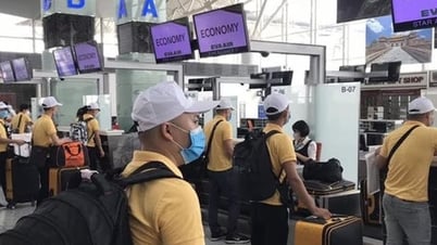 Dính hàng loạt vi phạm, 4 công ty xuất khẩu lao động bị Bộ LĐ-TB-XH xử lý