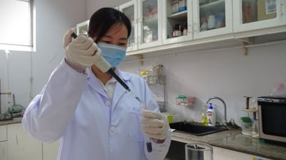 'Lương tháng 120 triệu đồng hấp dẫn với nhà khoa học trong nước'