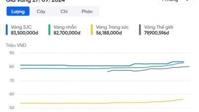 SJC 골드바에 계속 접근하세요