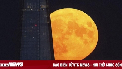 Từ Việt Nam quan sát đẹp nhất khi nào?