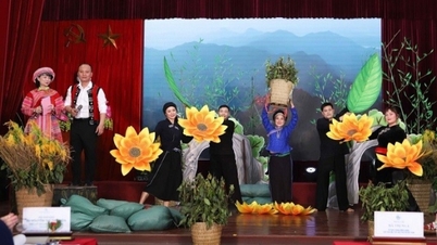 Promoting cultural practices of ethnic minorities contributes to promoting gender equality