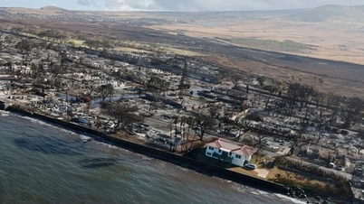 The Truth About the House That Survived the Firestorm in Hawaii