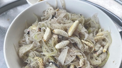 Nhộng ong vò vẽ, ong non, con đại bổ núi rừng Bình Định xào với rau chuối hóa ra đặc sản nhà giàu
