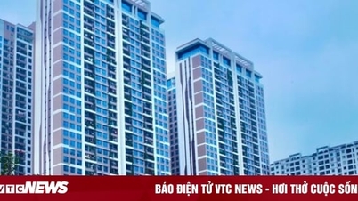 Soi 'sức khỏe' các phân khúc bất động sản năm 2024