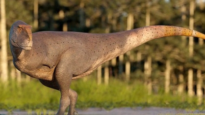 "Armless killer" discovered