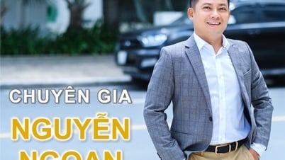 Nền tảng thành công cho doanh nhân từ trí tuệ phong thủy