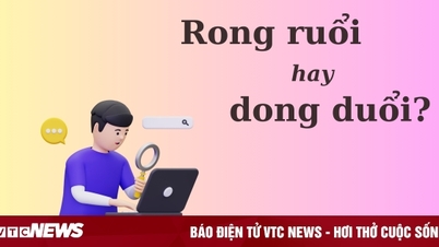 'Rong ruổi' hay 'dong duổi', từ nào mới đúng chính tả?