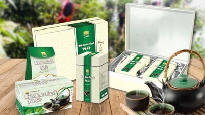 ផលិតផល OCOP ធម្មតាចំនួន ៣ របស់ខេត្ត Hoa Binh