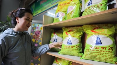 Nhiều nước ồ ạt mua gạo Việt