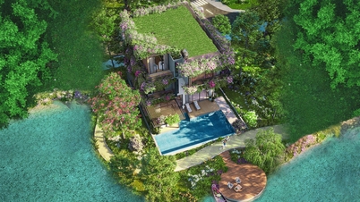 Nhà sáng lập Ecopark tiên phong phát triển bất động sản Blue Zones