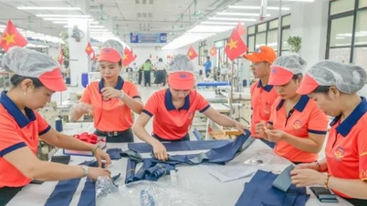 Đơn hàng tăng, doanh nghiệp dệt may khởi sắc