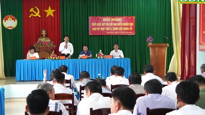 គណៈប្រតិភូរដ្ឋសភាខេត្ត Dak Nong បានជួបជាមួយអ្នកបោះឆ្នោតឃុំ Nam Binh