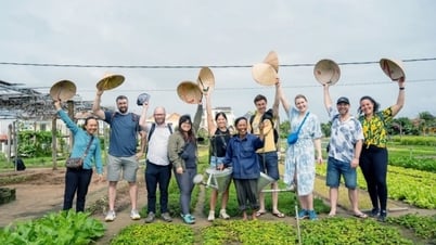 Foreign tourists enjoy playing the role of farmers at Tra Que vegetable village