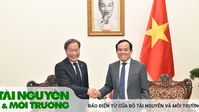 Phó Thủ tướng Trần Lưu Quang tiếp Phó Chủ tịch điều hành cấp cao JICA