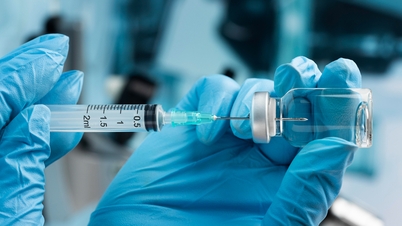 Australia nghiên cứu vaccine ngừa virus gây 'bệnh hôn'