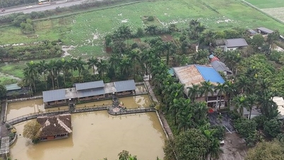 Trang trại chăn nuôi bị “biến tướng” thành khu sinh thái