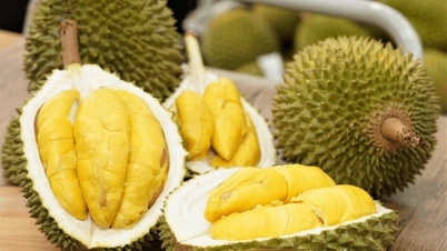 Sầu riêng tươi chủ yếu được xuất khẩu sang thị trường Trung Quốc