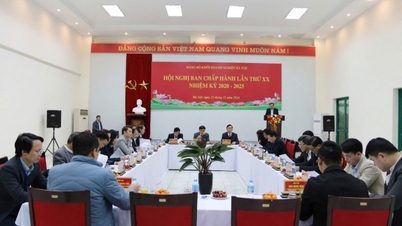 Khối doanh nghiệp Hà Nội vượt thách thức, giữ vững hiệu quả sản xuất kinh doanh