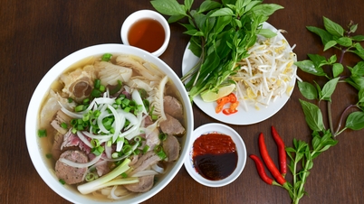 Phở Hà Nội - Tinh hoa ẩm thực Việt
