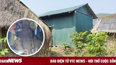 'Kho báu' của gia đình 'âm binh' ở Thanh Hoá