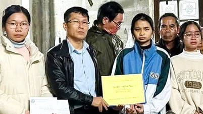 어머니를 잃은 불쌍한 여학생이 기부금을 받고 문자로 악당에게 사기를 당했습니다.