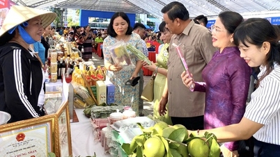 Hỗ trợ hội viên, phụ nữ khởi nghiệp, phát triển kinh tế