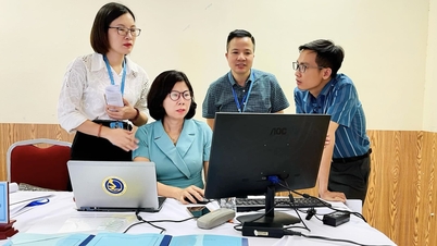 17 tổ chức kiểm định chất lượng giáo dục hoạt động tại Việt Nam