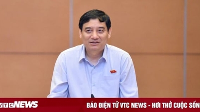 Phim ảnh, tin tức tiêu cực làm gia tăng bạo lực học đường