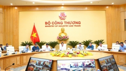 ក្រសួងឧស្សាហកម្ម និងពាណិជ្ជកម្ម រួមចំណែកអព្ភូតហេតុនៃសៀគ្វីអគ្គិសនី 500kV ៣