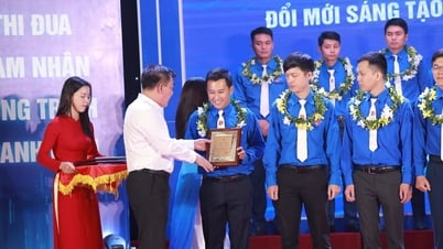 Da Nang Port was commended and awarded the "Innovation and Business Development" award for the third time in 2024 by the Central Business Bloc Delegation.