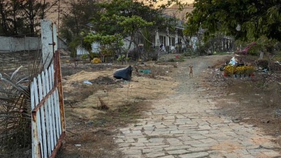 Hàng loạt dự án ven biển "chết lâm sàng"