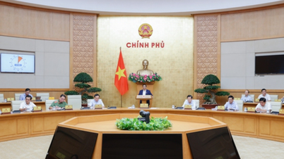 Thủ tướng phân công 4 Phó Thủ tướng giải quyết một số công việc cấp bách