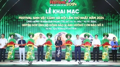 Khai mạc Festival Sinh vật cảnh lần thứ nhất năm 2024