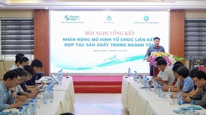 អ្នកជំនាញ អ្នកគ្រប់គ្រង អាជីវកម្ម និងកសិករចិញ្ចឹមបង្កងពិភាក្សាអំពីដំណោះស្រាយដើម្បីបង្កើនតម្លៃនៃខ្សែសង្វាក់ឧស្សាហកម្មបង្កង