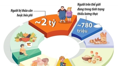 What problems is the global food system facing?