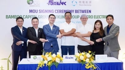 Bamboo Capital - សម្ព័ន្ធថាមពលកកើតឡើងវិញរបស់ Foxlink